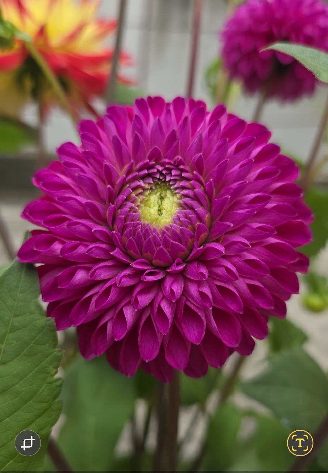 Screenshot_20250218_223525_Gallery